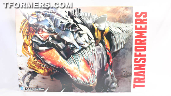 SDCC 2014   G1 Dinobots Exclusives Video Review And Images Transformers Age Of Extinction  (1 of 69)